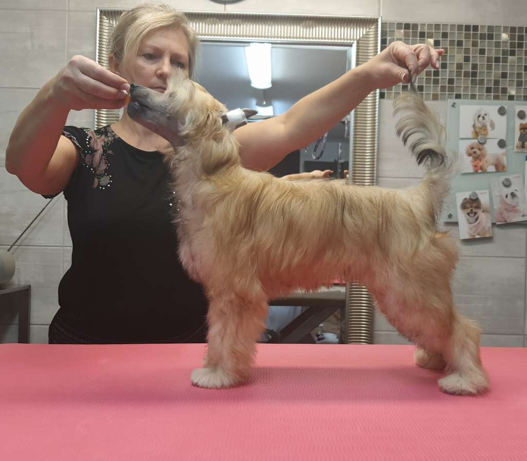 Maddox Caramella's Family