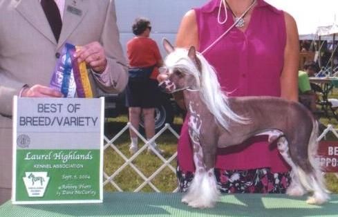 Wickhaven Heartbreaker