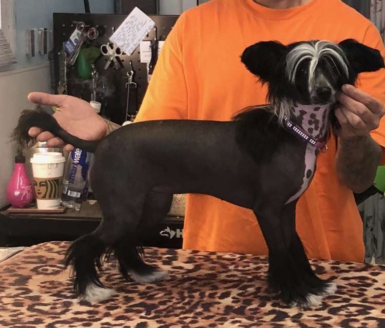 DeBahtrio-Spiritual A WoMan Named Pearl