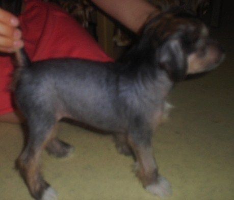 Oromuson Nifty-Nanina