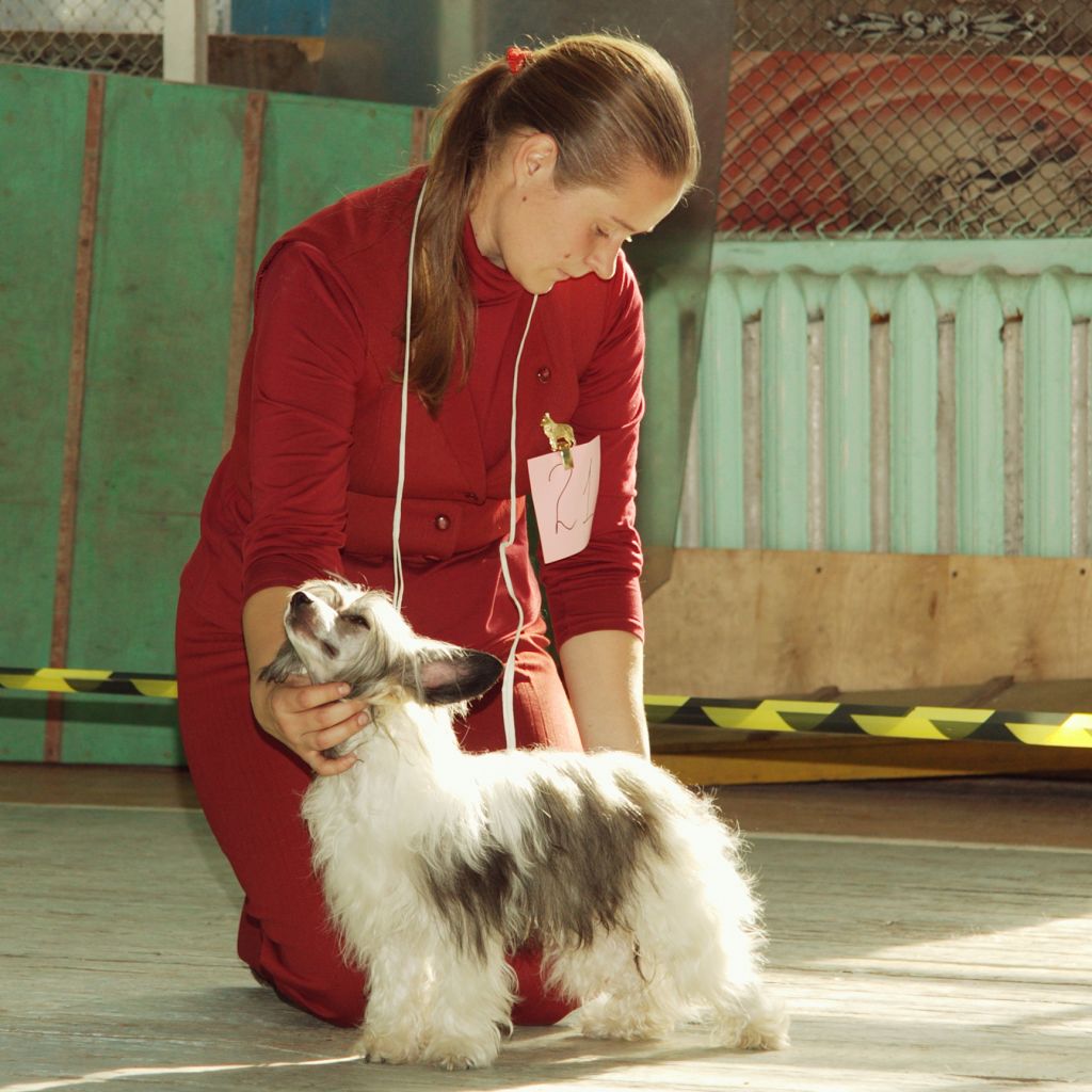 Zarita Iz Strany Kutha