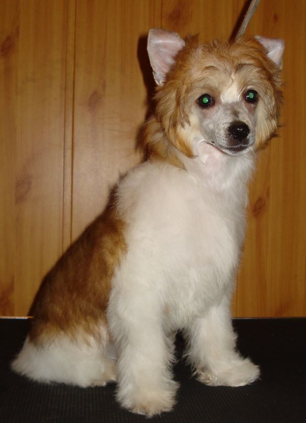 Artystka Z Natury Innowacja