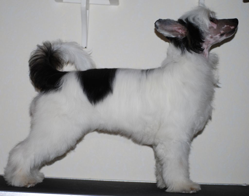 Keeping Dreams Little James