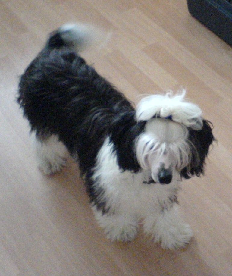 Hurricane Certova stena        