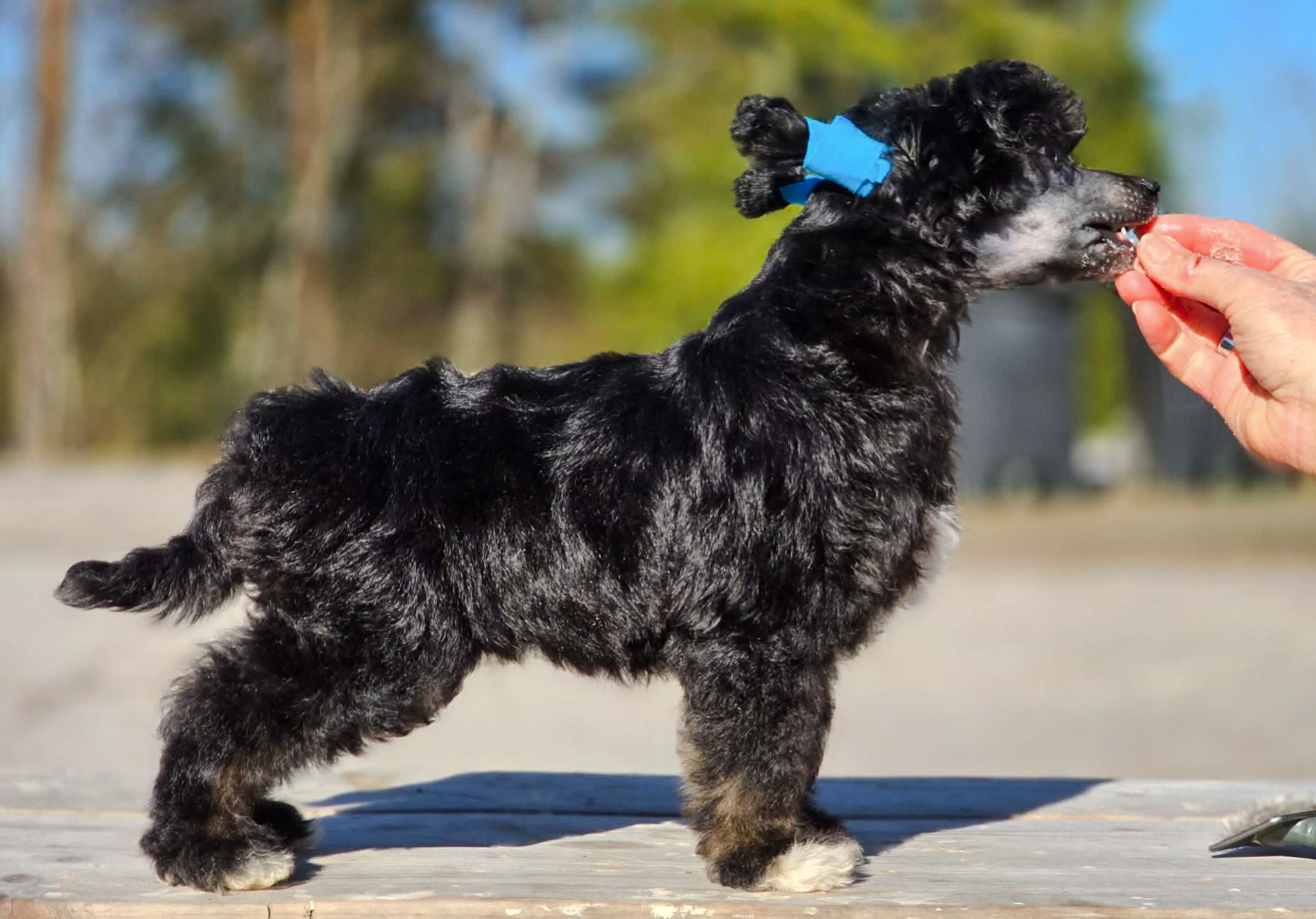 Jean Dark Me On Your Mind