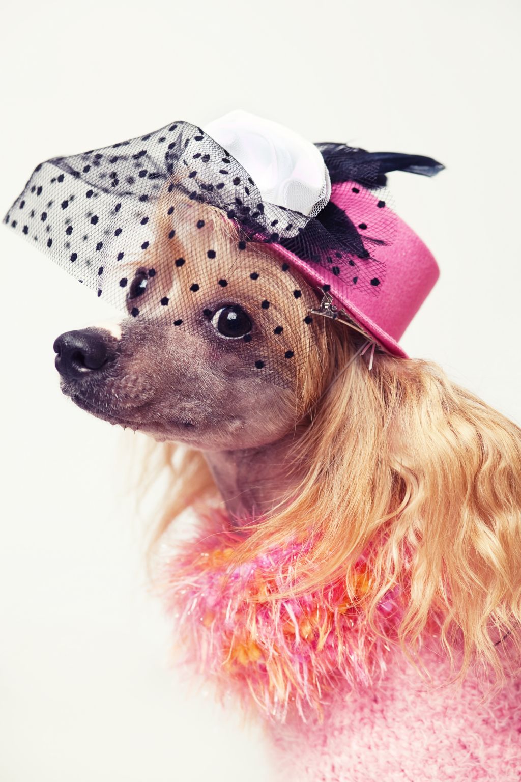 Atlant Kordiall Marmeladka