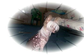 Maju's Imto Sexyfomy Clothes