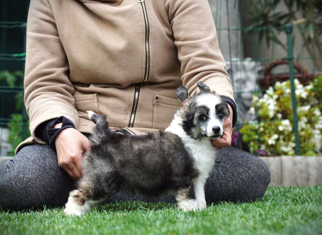 Xtreme Euphoria Heybett