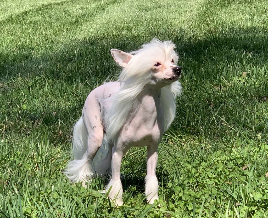 My Wildflower Delilah Raine