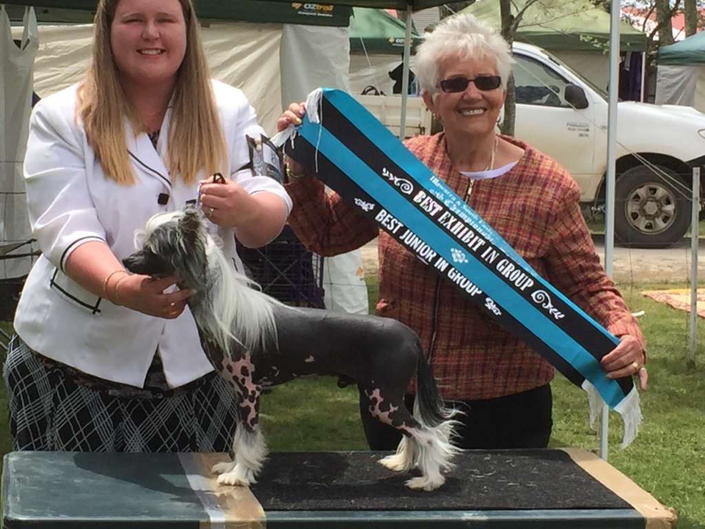 Cavhill Chinese Whispers