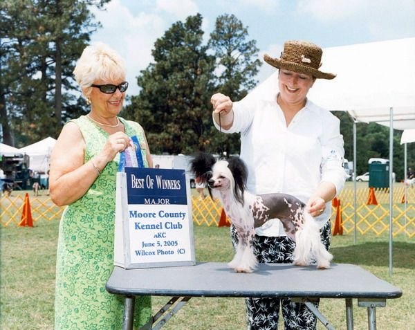 Joyway's Kiss Me Kismet