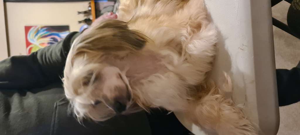 Juleko Pretty Bubbles