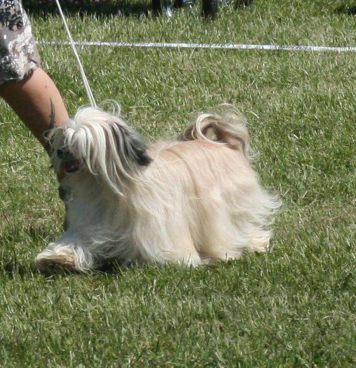 Smedbys Because Of Love