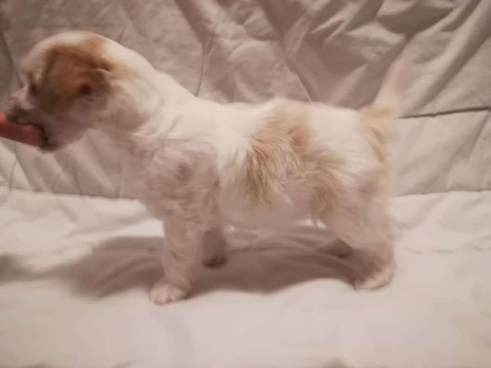 Magic'N Mystic U Are My Universe