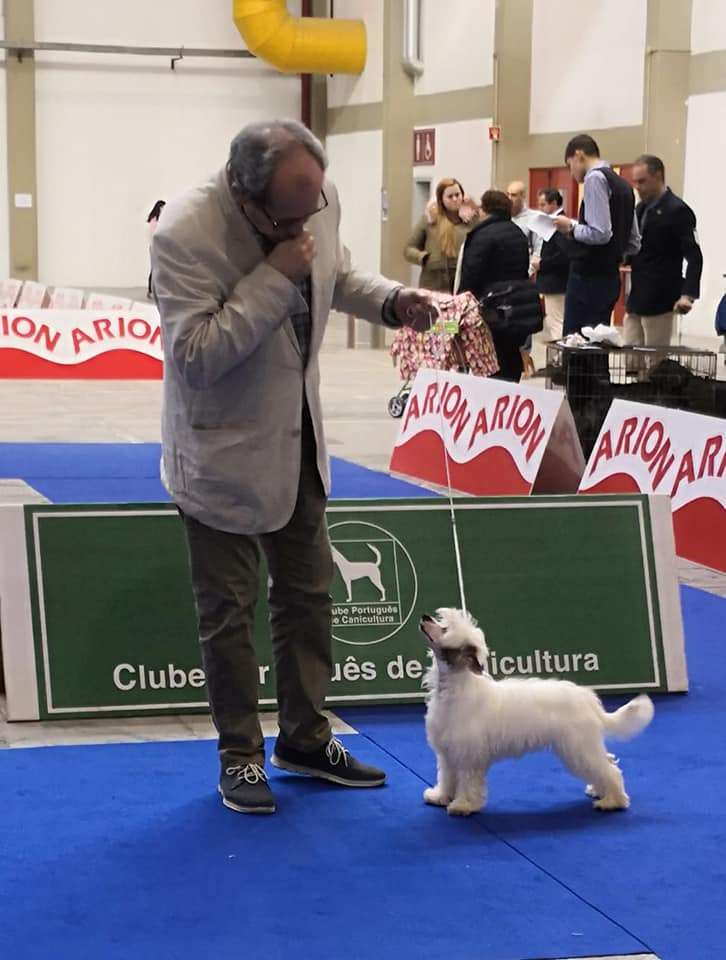 Unbreakable Love De Sothis