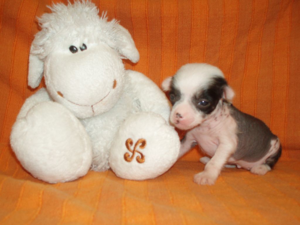 Exclusiva De Atxarrea