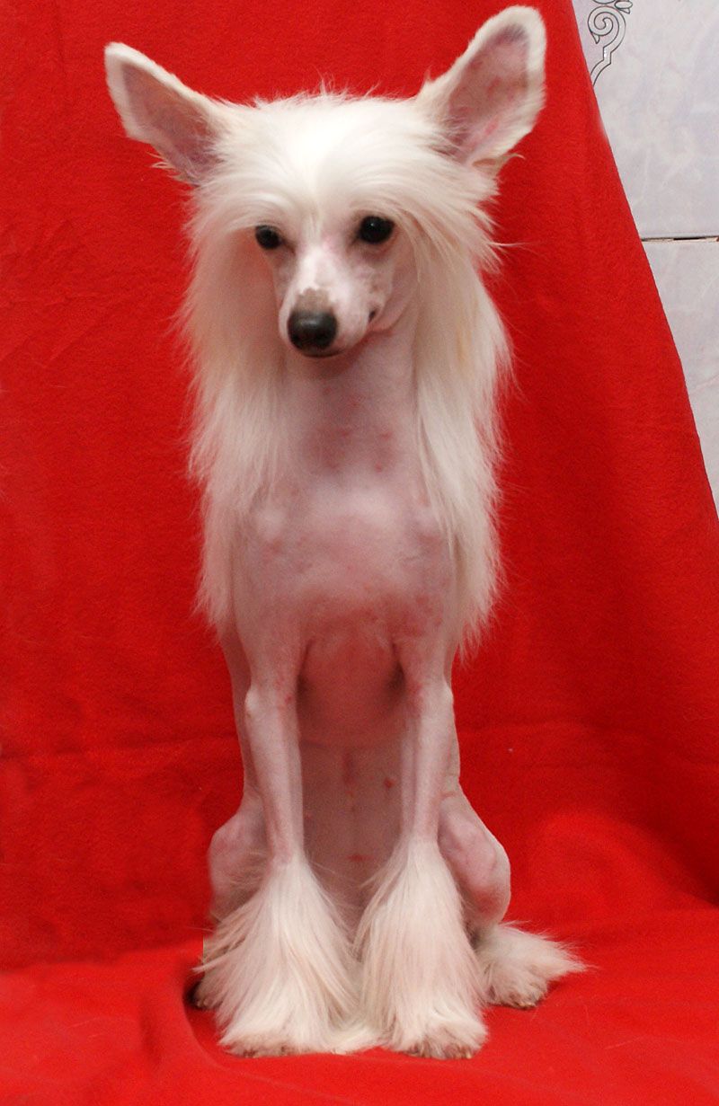 Alvine Band  Gloria Estefan