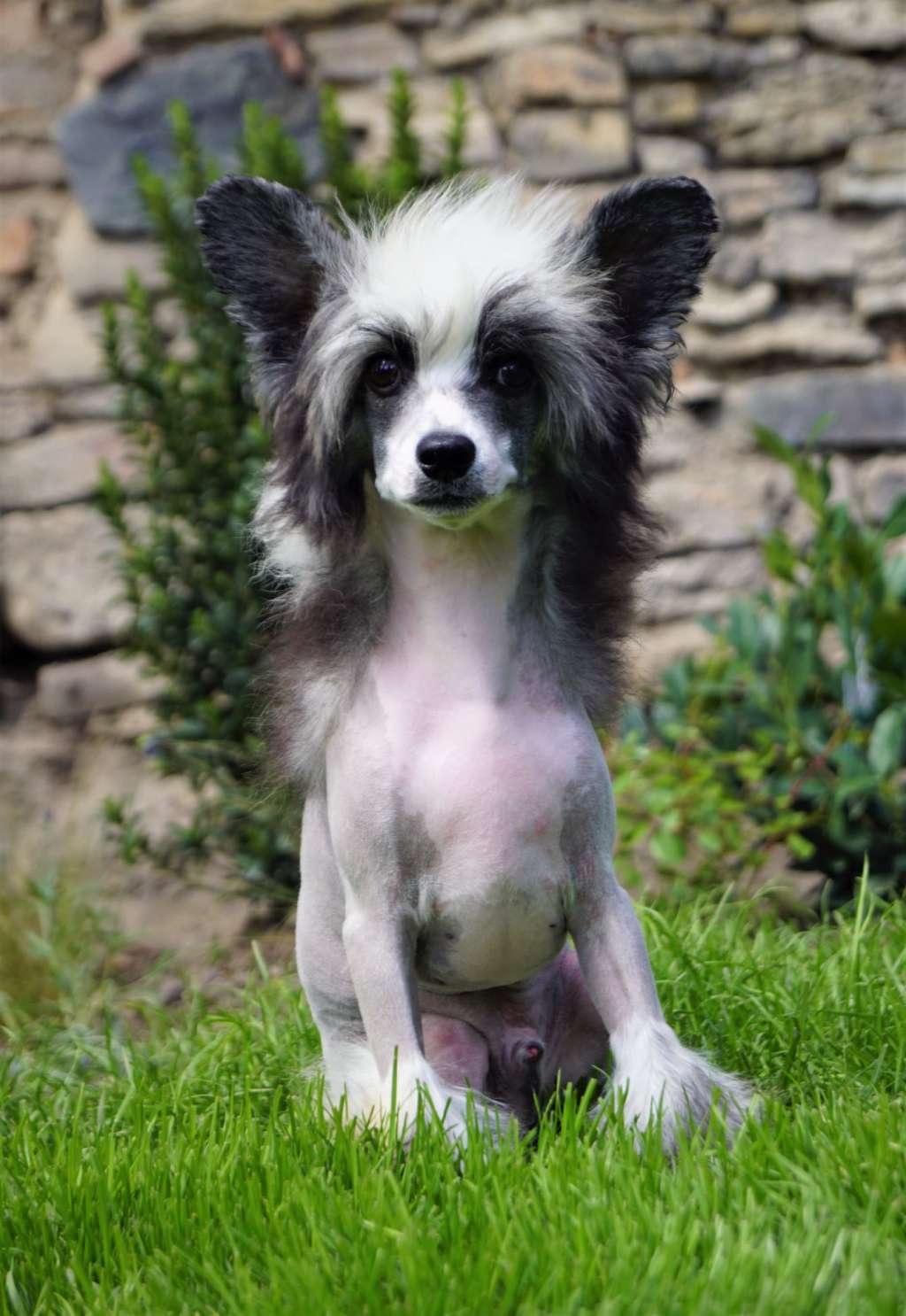 Still in love Heybett