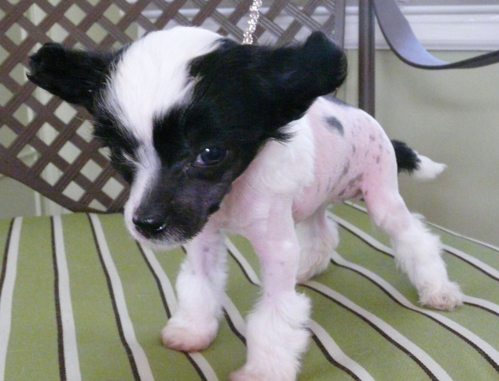 Creekside's Juicy Couture