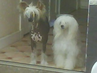 Nisyros Peaches N Cream For Sigyns