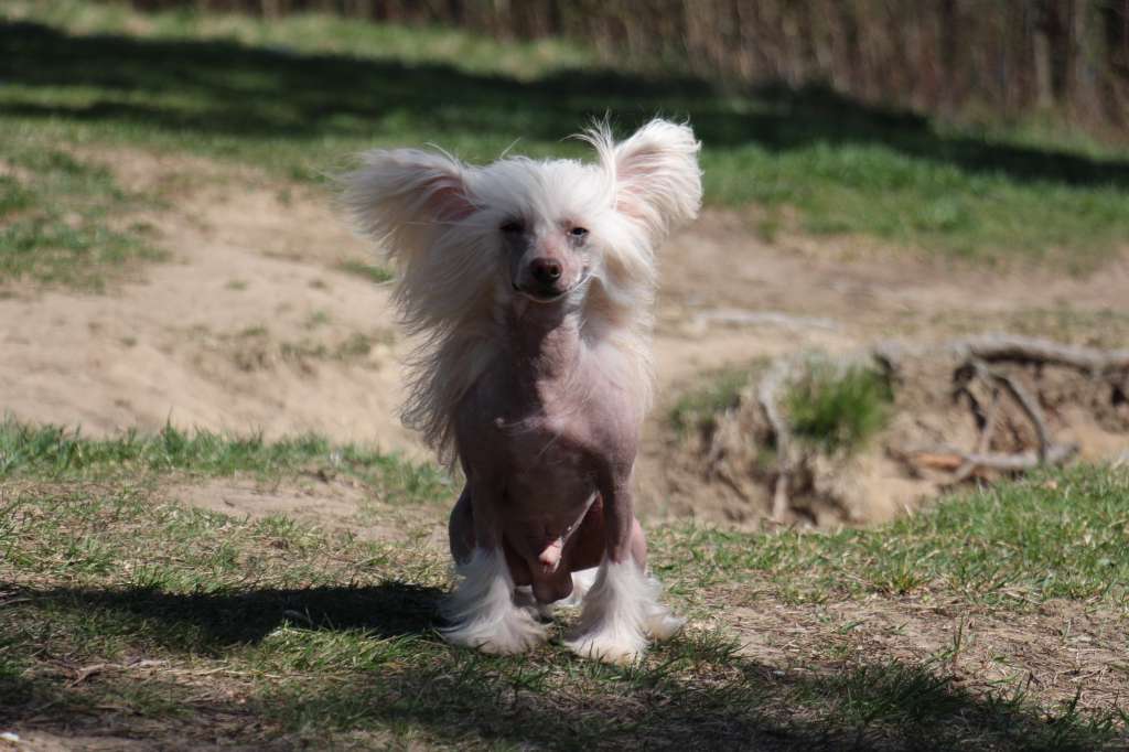 Subway Jackpot Juggler