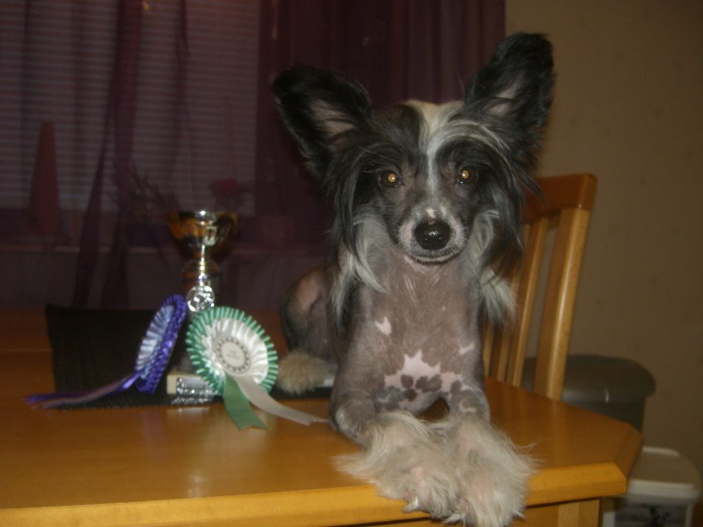 Meadowwood's Main Sleepwalker