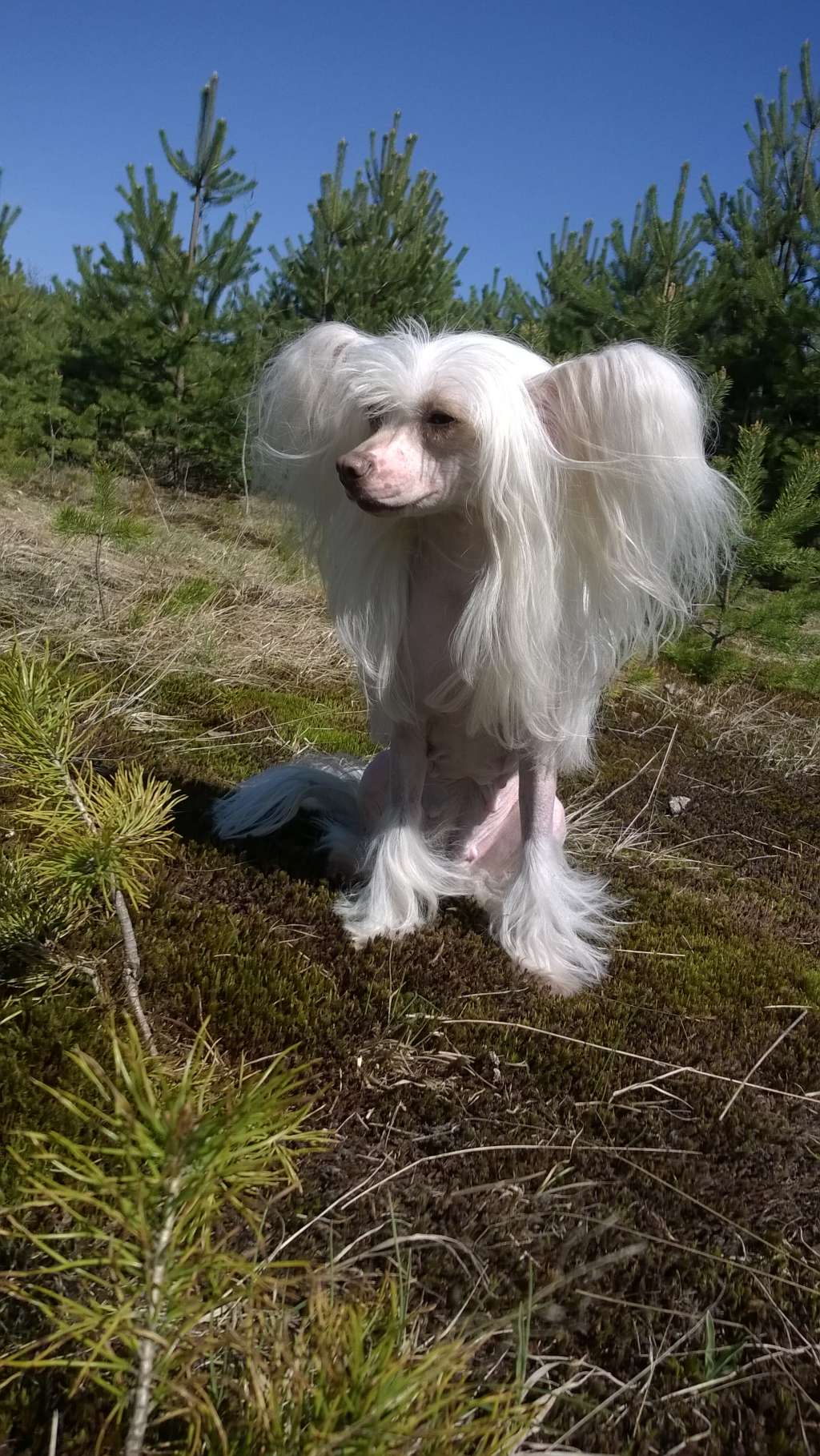 Naimuluna Line Nicole Richie