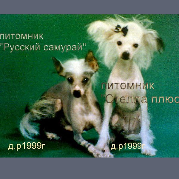 Russkiy Samurai Navais (Stella Plyus)