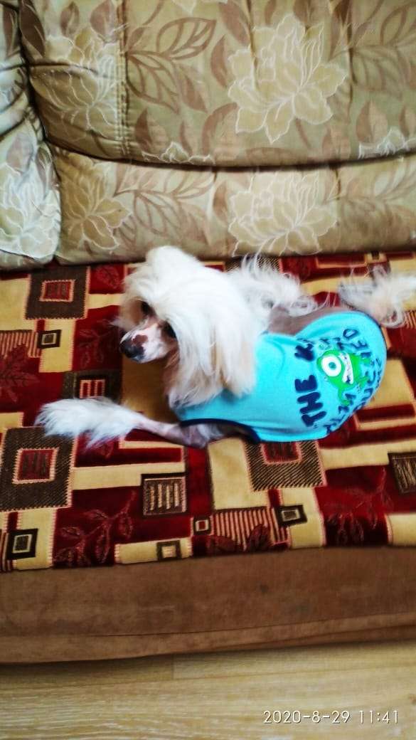 Veriti Viktori Iz Chudnoy Doliny