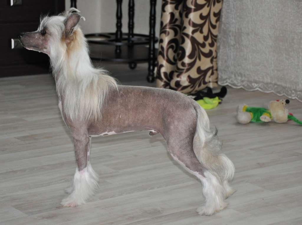 My Love Winning Smile