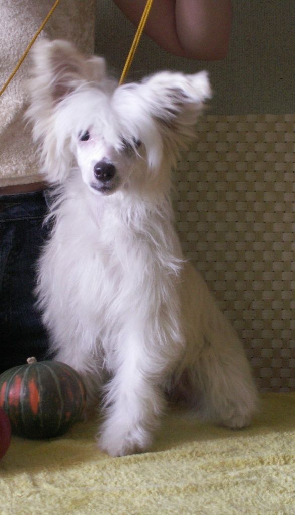 Elizaveta Imperatritsa