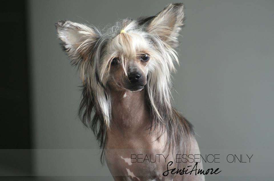 Beauty Essence Only Sensiamore