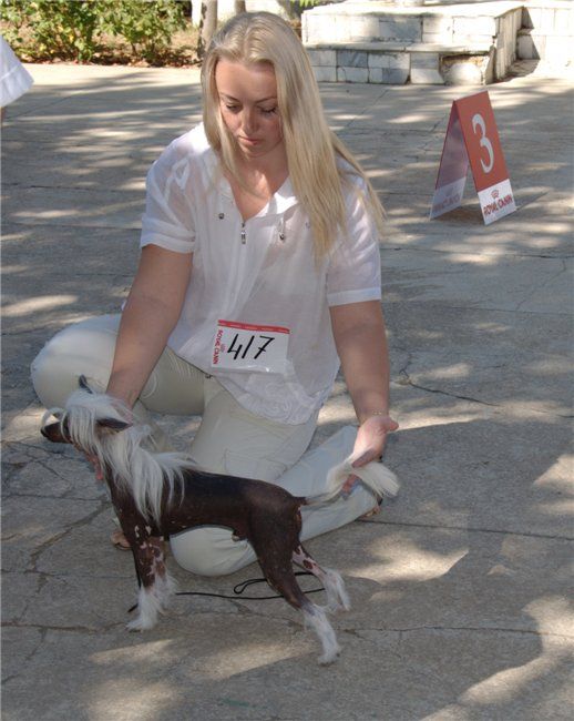 Alka Trast La Manche