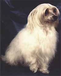 Hia Liou Soung De Sanwill