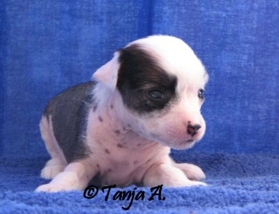 Sun Dan Don't Tell Mama