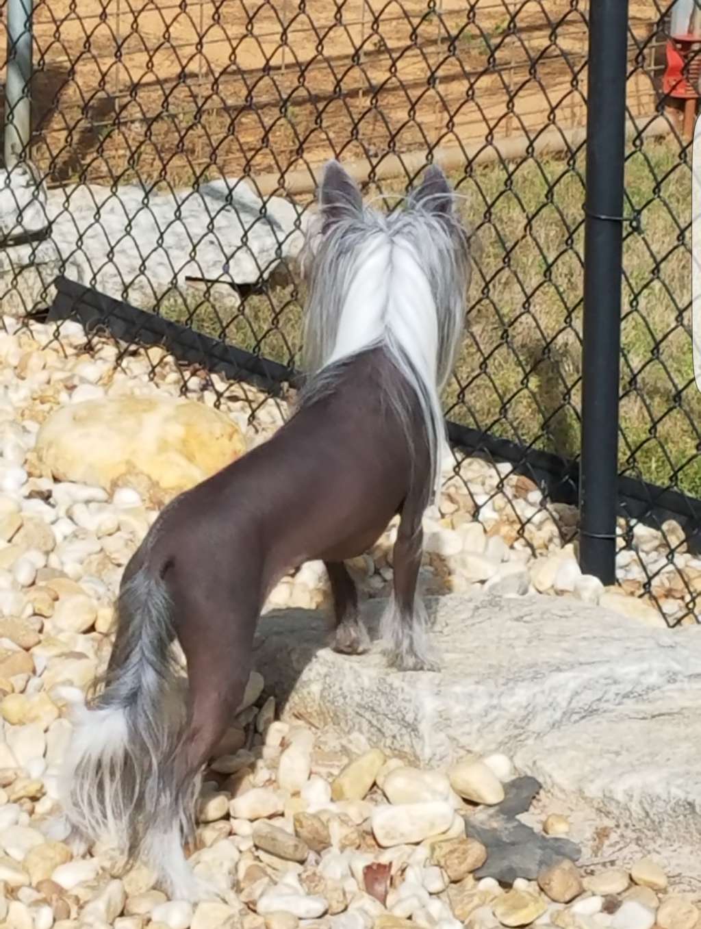 Rock Star's out of this World