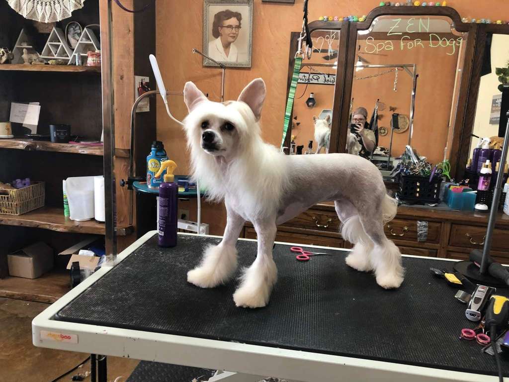 EverCrest's Diamond in the Buff