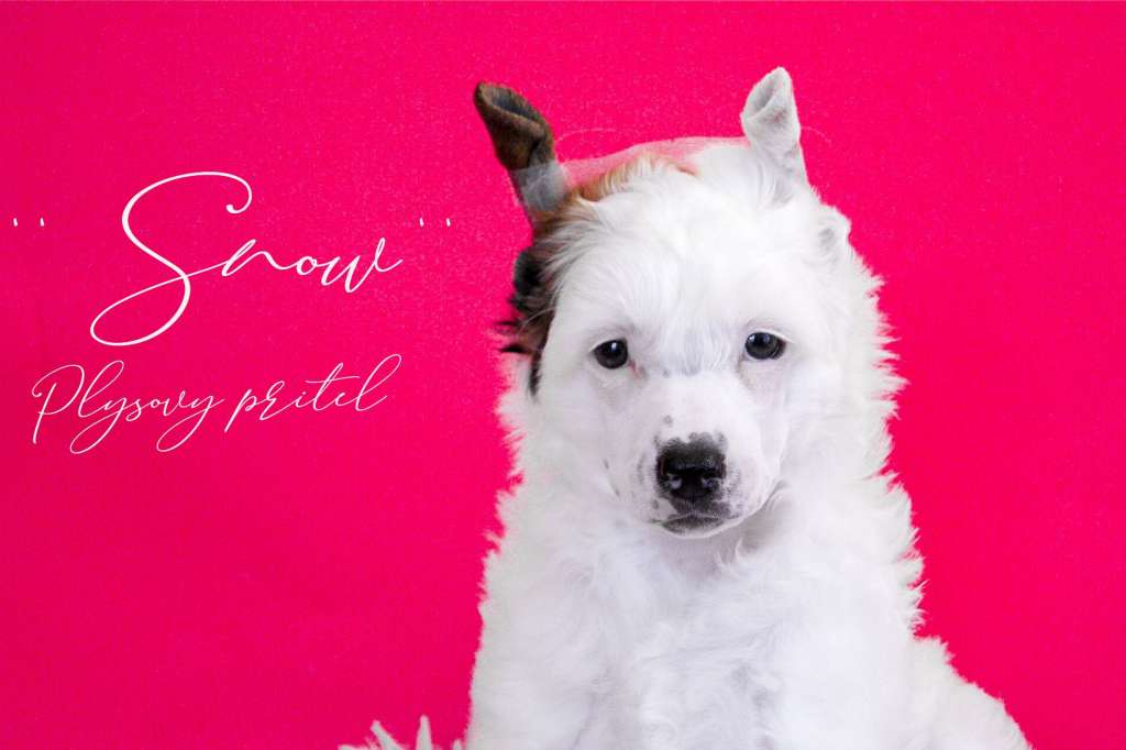 King Of The North Plysovy pritel