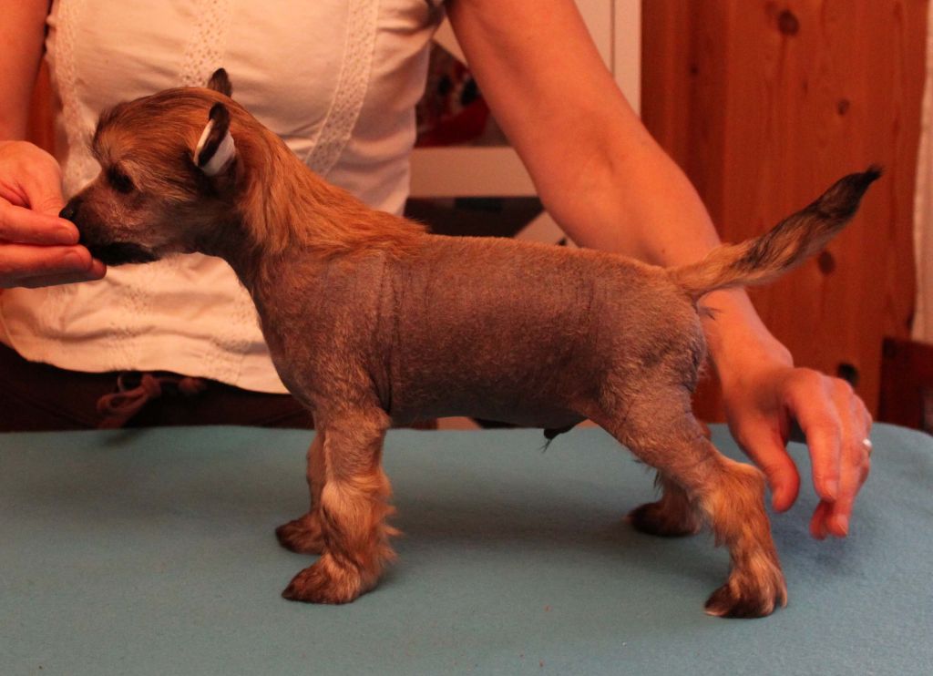 Dizzor 's I'll Be There For You