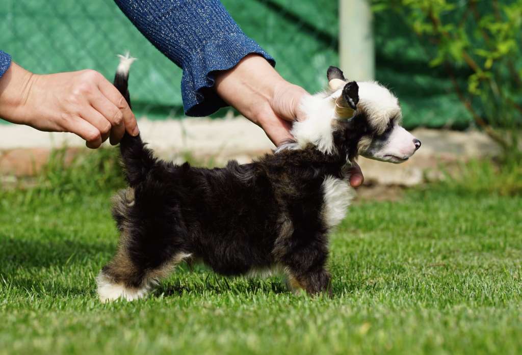 Wake Up Call Heybett