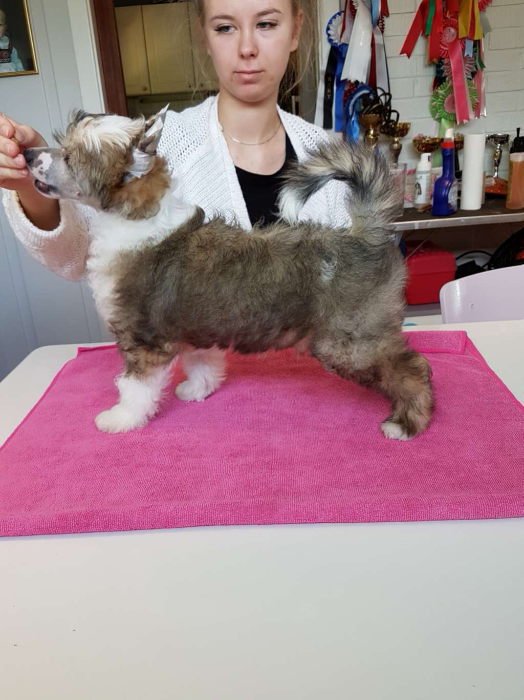 Angel Sprinkle's A Lie To Be Told