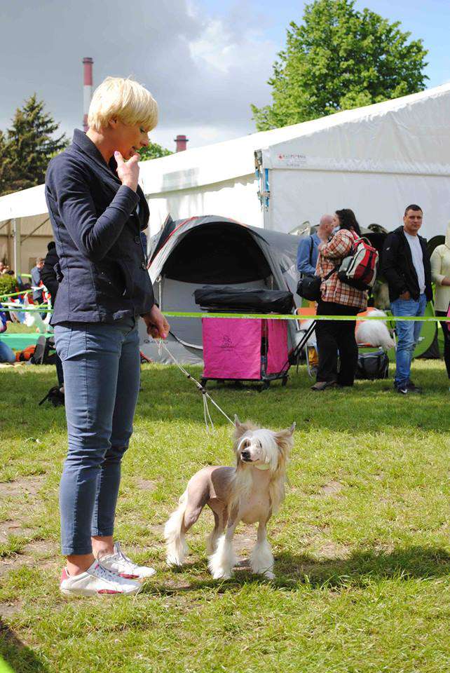 Blue Valentine Crystal Ice