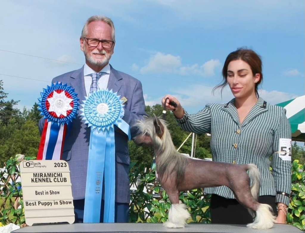 Taja sugar plum dreams