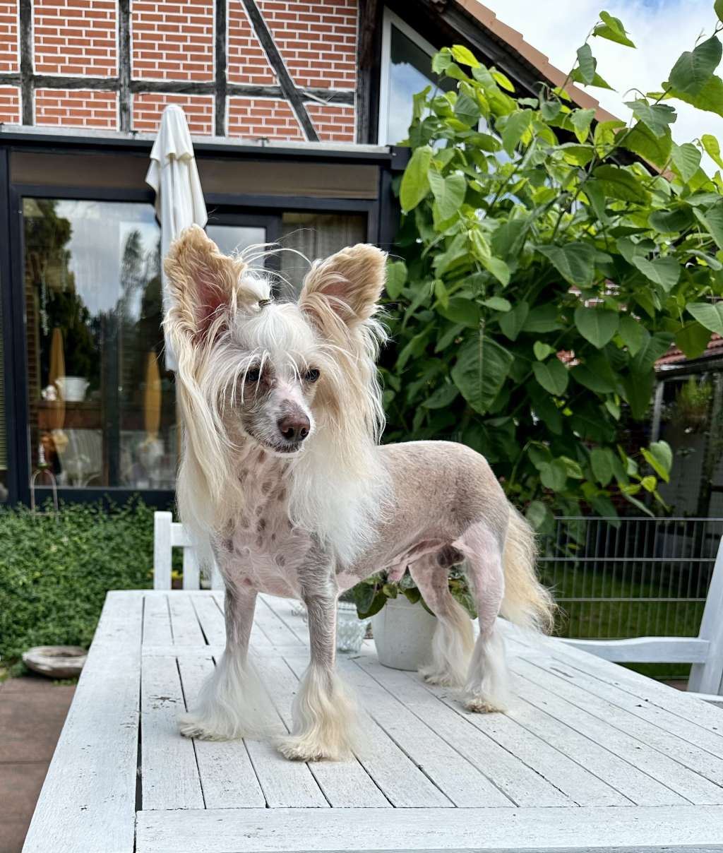 Only For You von Shinbashi