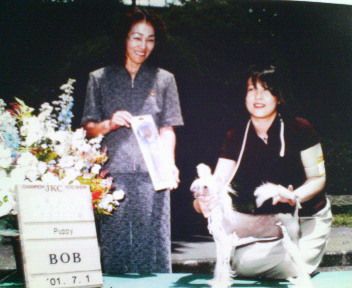 Knightbrook Spywholuvdme