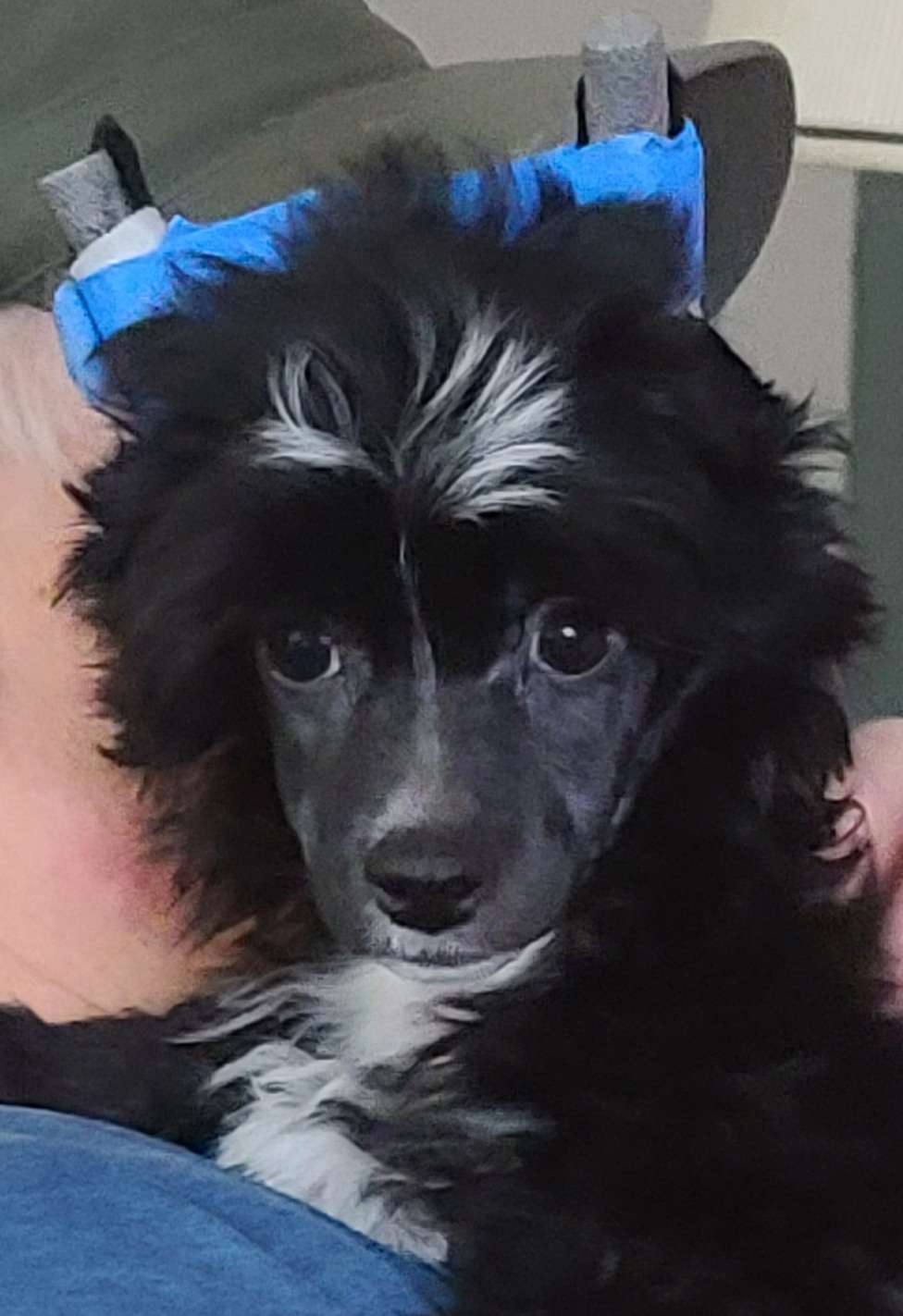 Mountain Meadows Don't Stop Believing in the Stars