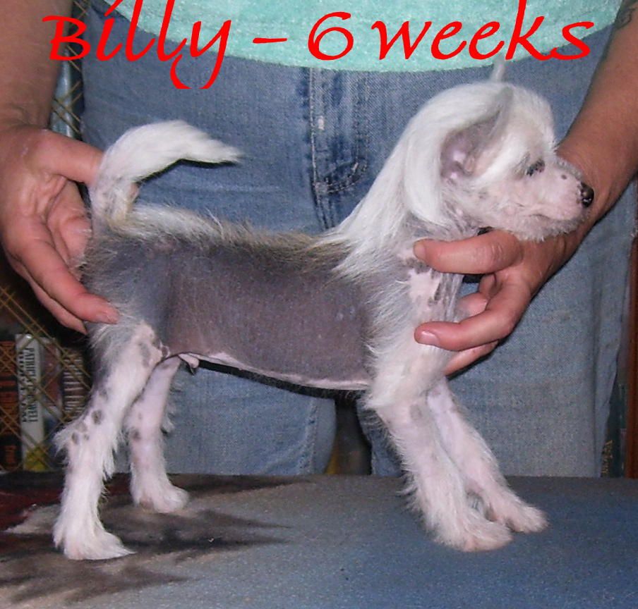 Lyric Town Talk About Pop Muzik