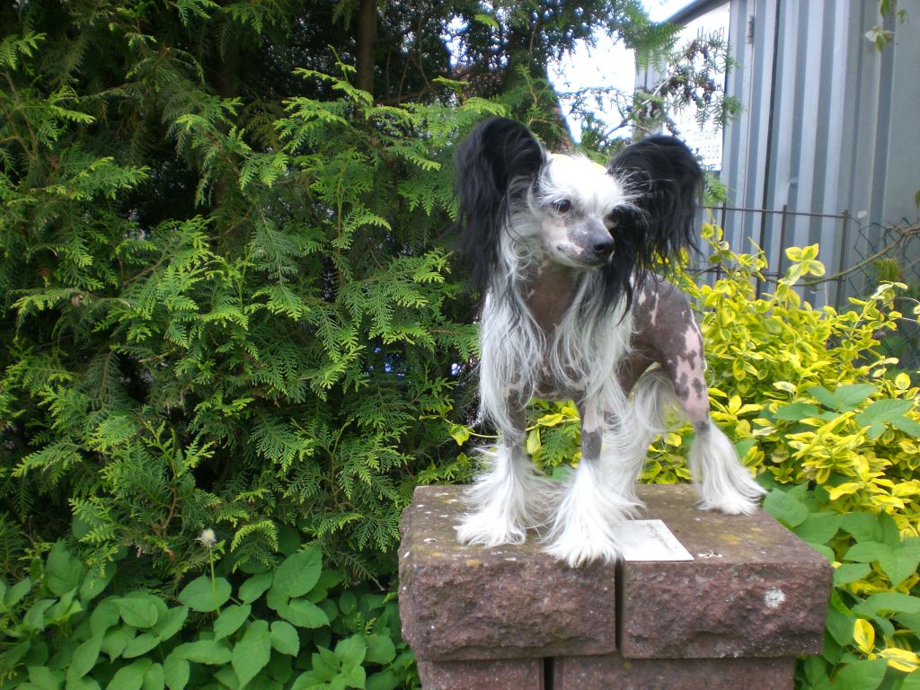 Silver Tauer New Favourite