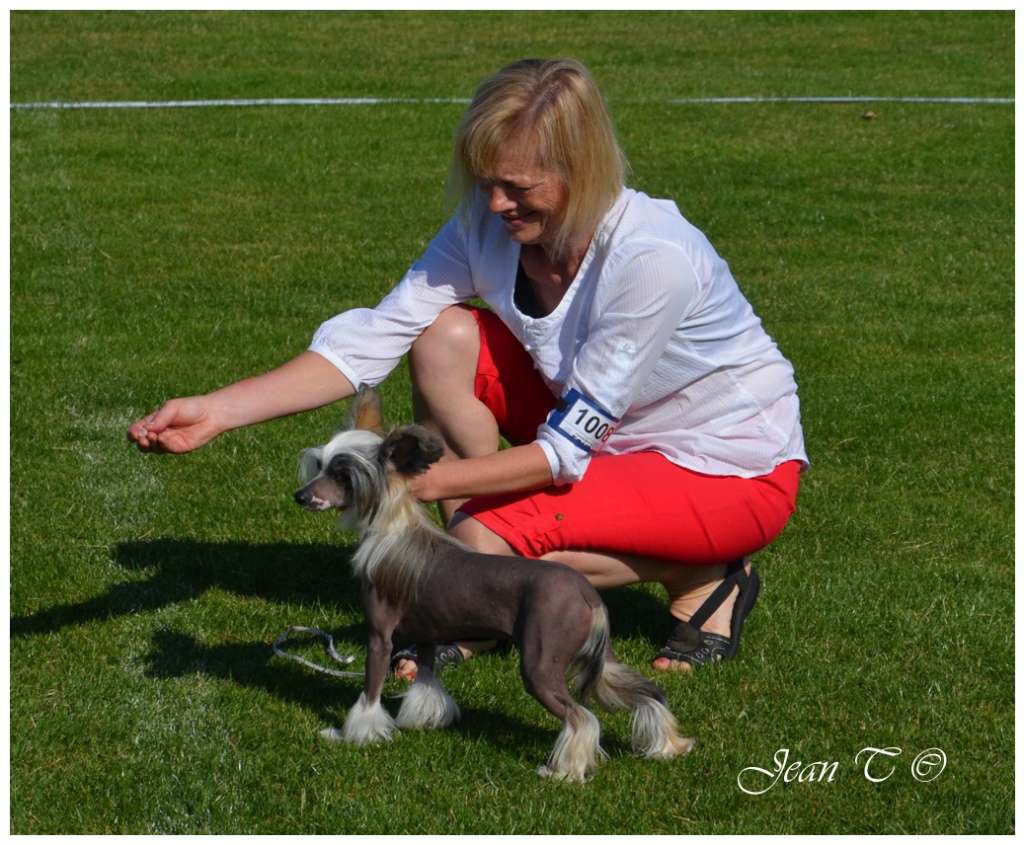 Krysolit Lovely Bella Dicte