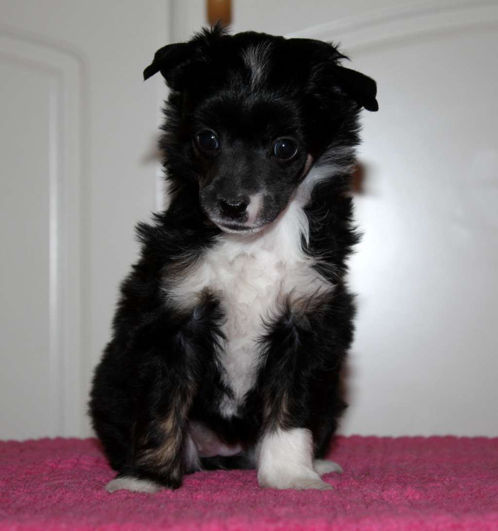 Viuvaun Livin'In Luxury